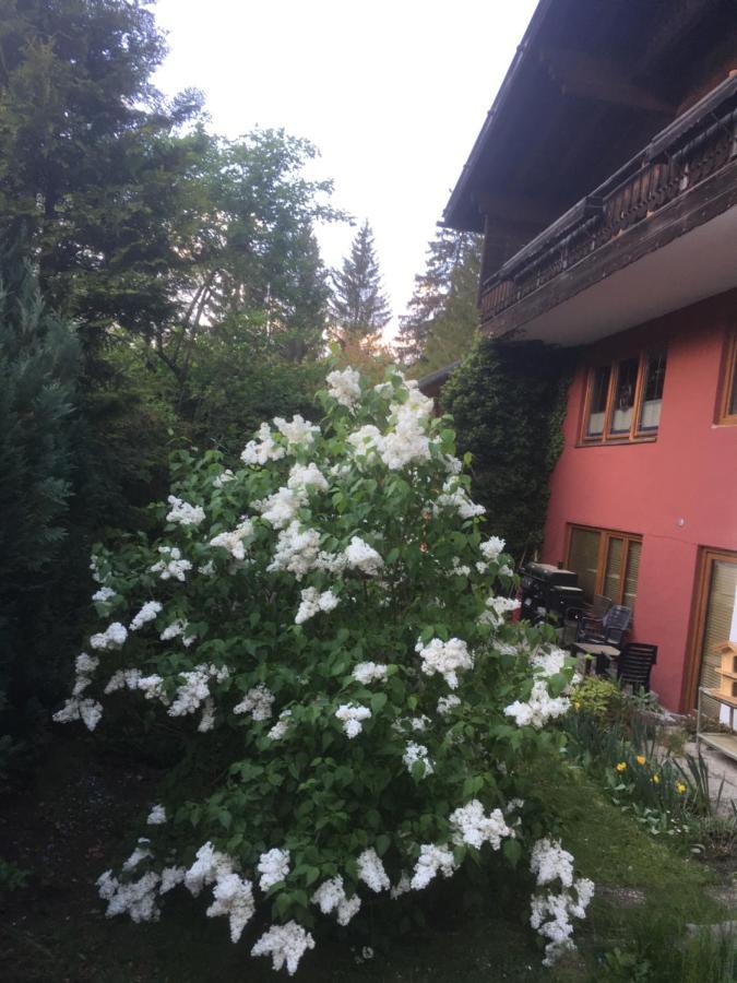 Ferienhaus Wieswald Ервальд Екстер'єр фото